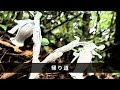 帰り道 / フリーBGM