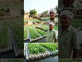 प्लास्टिक की खाली बोतलों की मदद से तालाब में उगाई सब्जी😱#facts #farming