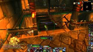 WoW Hunter Solo tame Pride of Bethekk(Panther) in heroic ZulGrub