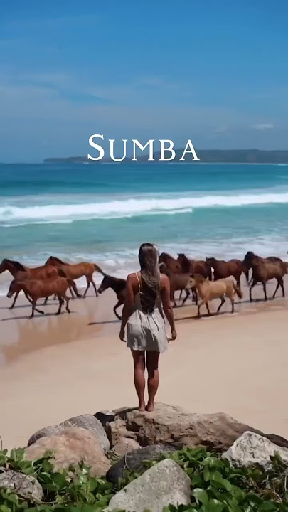 📍Sumba, Indonesia 🇮🇩❤️