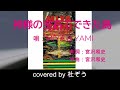 神様の宝石でできた島 / MIYA & YAMI 杜ぞうカバー(原曲キー・歌詞付)THE BOOMの宮沢和史さんのユニットMIYA & YAMIによる1994年発売の名曲です!
