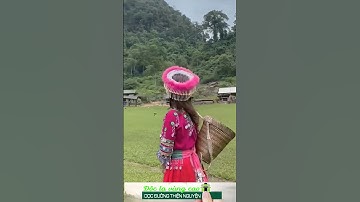 Độc lạ vùng cao  xinh thế  #shorts #trongheovungcao #quycomcothit