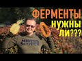 ФЕРМЕНТЫ - СУТЬ ВОПРОСА