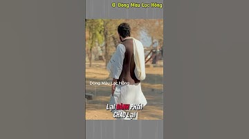 Cái Kết Cho Những Người Quá Lễ Phép | Dòng Máu Lạc Hồng