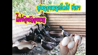 สูตรอาหารเป็ดไข่อย่างง่าย ไม่ง้อหัวอาหาร