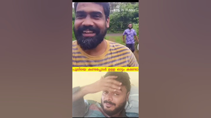 When two of them were beaten and left to sit quietly, the tiger| #shorts #funny #shortvideo #vira...