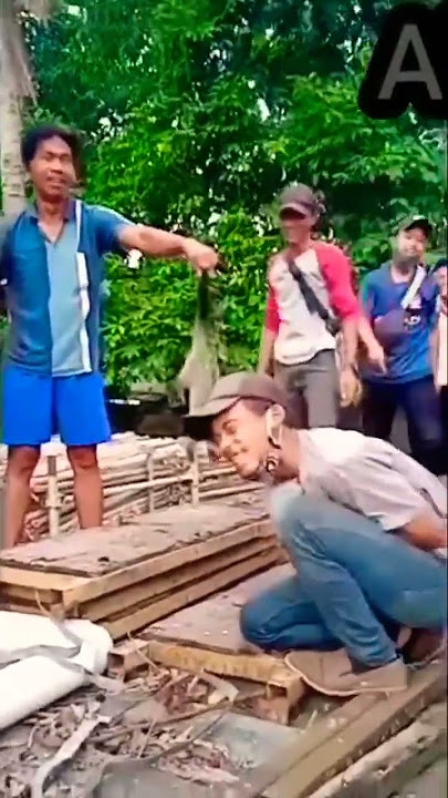 sakti tangkap hewan musang dengan satu tangan,, #shorts #500subs
