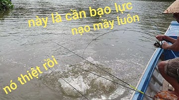 Chiến đấu với HuGo Sông Hậu. Lần lầu lôi con cá sông bự và mập cở này | Săn bắt SÓC TRĂNG |