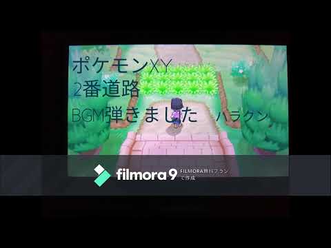 ポケモンxy 2番道路 Bgm弾きました ハラクン Youtube