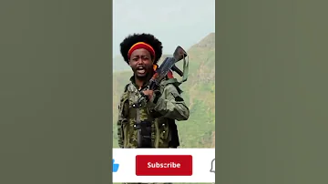 Amhara Fano አማራ ፋኖ Addisababa A Shortsvideos Ethiopianews Ethiopi Shortsvideos Shorts 