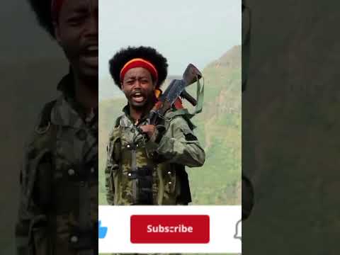 Amhara Fano አማራ ፋኖ Addisababa A Shortsvideos Ethiopianews Ethiopi Shortsvideos Shorts Amhara Fano አማራ ፋኖ Addisababa A Shortsvideos Ethiopianews Ethiopi Shortsvideos Shorts