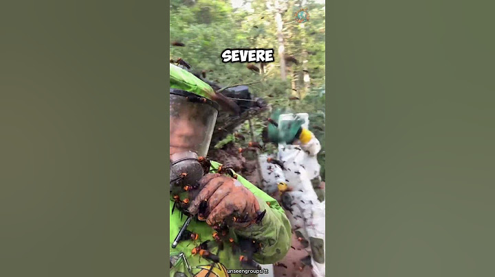 Facing Murder Hornets 🐝 Clearing a Giant Hornet Nest! #shorts