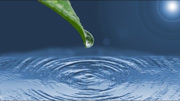 Photoshop Tutorial: Best Way to Create Realistic Water Ripples!