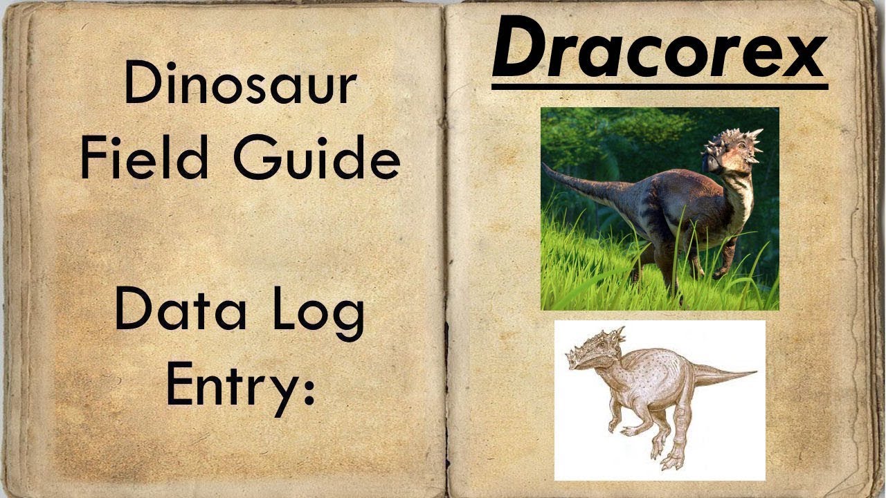 Download Dracorex: Habitat and Facts