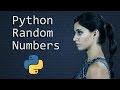 Understanding Python's Random Module