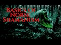 Norse Shamanic Basics