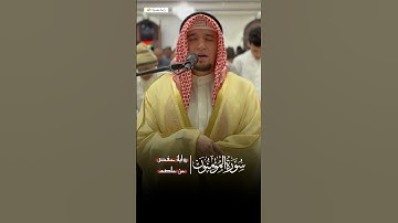 تلاوة خاشعة 💛
