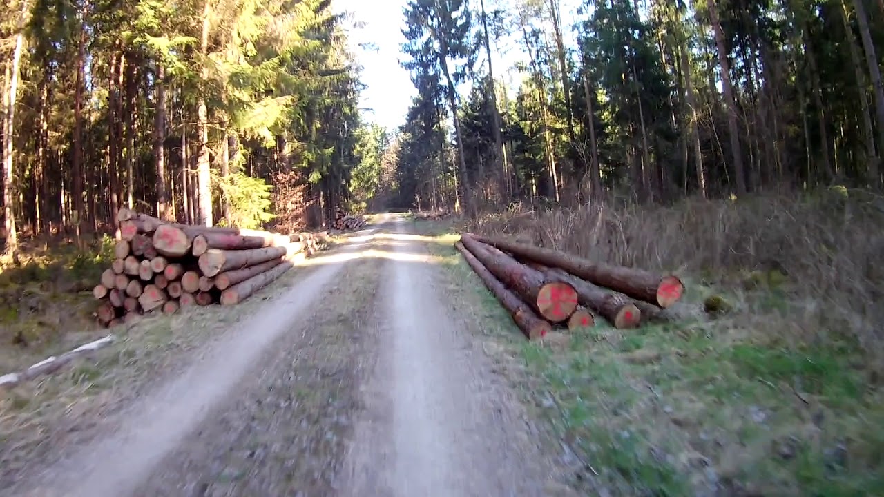 Tour 2: Bamberg - Strullendorf - Roßdorf - Geisfeld - Hauptsmoorwald - Strullendorf - Bamberg