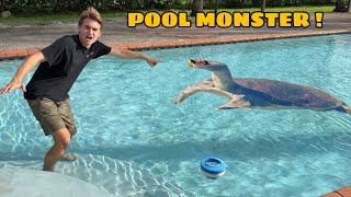 GIANT MONSTER STUCK IN MY POOL !