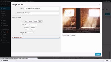 11 WordPress 101   Adding Images in WordPress Posts