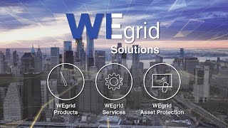 WEgrid Solutions | Your partner for SF₆ gas monitoring, analysis and handling