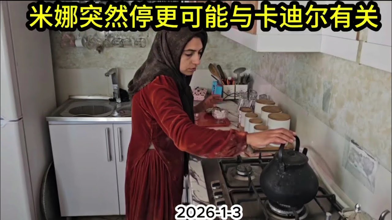 米娜突然停更，原因可能与卡迪尔有关。