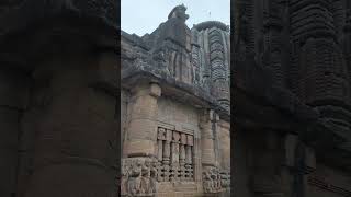 #shivatemple #odisha #kalinga #hindutemple  #youtubeshorts #shortsfeeds 🛕🙏😍🎶