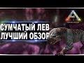 Сумчатый лев (thylacoleo)  в АРК. Лучший обзор: приручение, разведение и способности  в ark