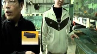 20120611《小人物大英雄》大智若魚