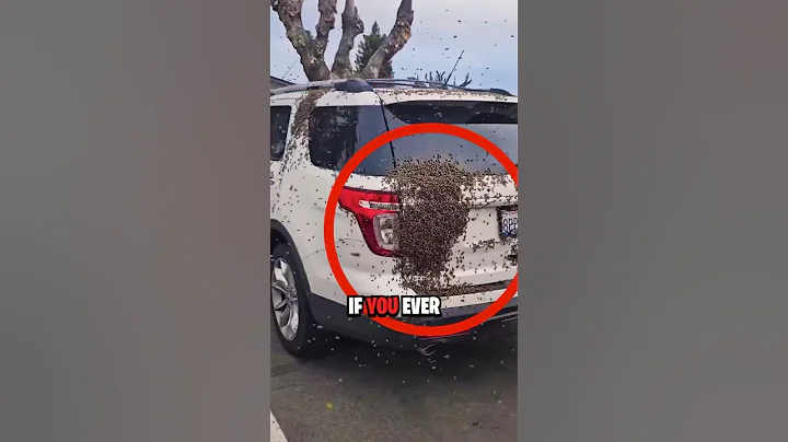 How To Survive A Bee Attack 😨