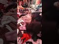 اكبر سوق ديال البال فمدينة سلا حي القرية اكبر سوق ديال البال فمدينة سلا حي القرية