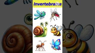 Invertebrates ||🦀Invertebrate Animals #invertebrates #learn #english