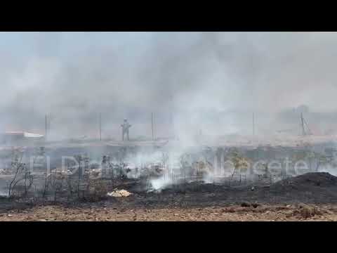 El fuego rozó las viviendas en esta urbanización de Albacete y la rápida actuación evitó lo peor