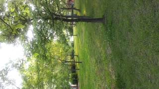 Bot.. Kat Chet Kat Sneh