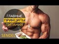 ГЛАВНЫЕ ПРИНЦИПЫ ПИТАНИЯ ДЛЯ РОСТА МЫШЦ.