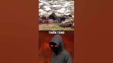 Kinh Hoàng Với Nghi Thức "Thiên Táng" Đáng Sợ Nhất Trung Hoa 😱 #tmvmedia  #shortvideo