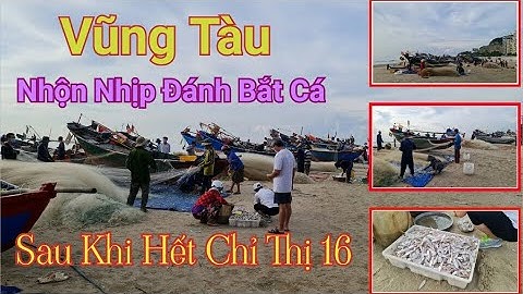 Vũng Tàu Người Dân Nhộn Nhịp Đánh Bắt Cá Tại Biển Bãi Sau Sau Khi Kết Thúc Chỉ Thị 16 | HaChu Vlog