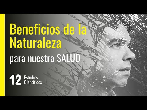 Video: ¿Qué creía Han Fei sobre la naturaleza de los seres humanos?