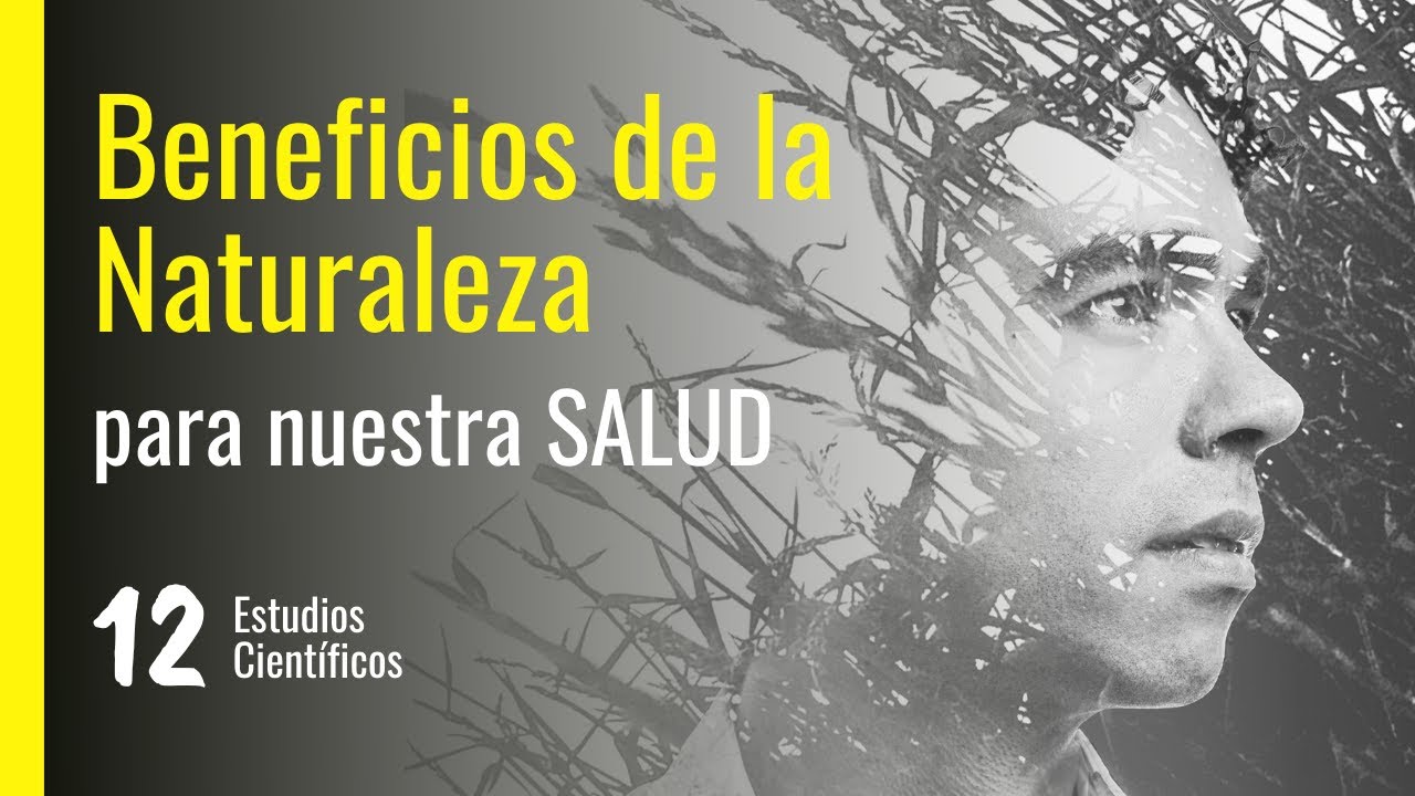 🌿 Beneficios de la NATURALEZA para el Ser Humano 12 ESTUDIOS ...