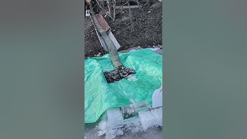 "Unlocking Efficiency: Watch How the Right Tools Transform Fry Unloading in Fish Ponds!"