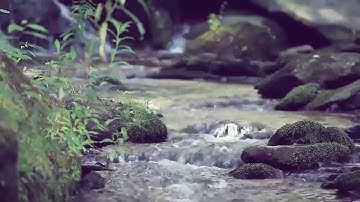 سورة الواقعة   كامله    القارئ اسلام صبحي   ارح قلبك   trimmed4