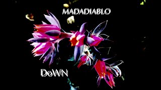 Madadiablo - DoWN