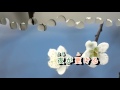 01-046 捨てられた町 台: 悲情城市 音緣43319 金嗓 40222
