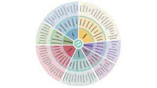 Feeling Wheel for Emotions | Calming Emotion Chart for SEL, Therapy & Reflection