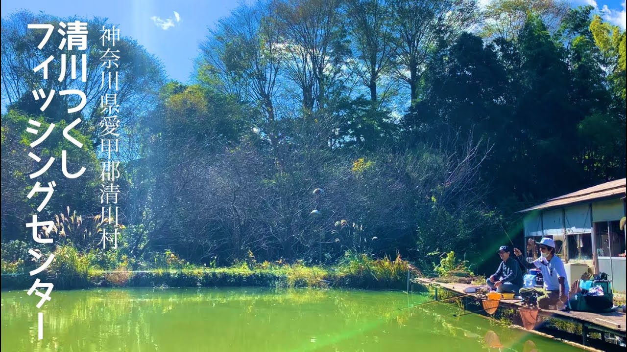 清川つくしフィッシングセンターでへらぶな釣り