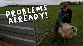 Lambing hasn’t started but the problems have!