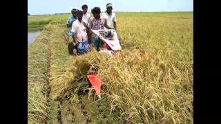 Paddy cutter Harvester