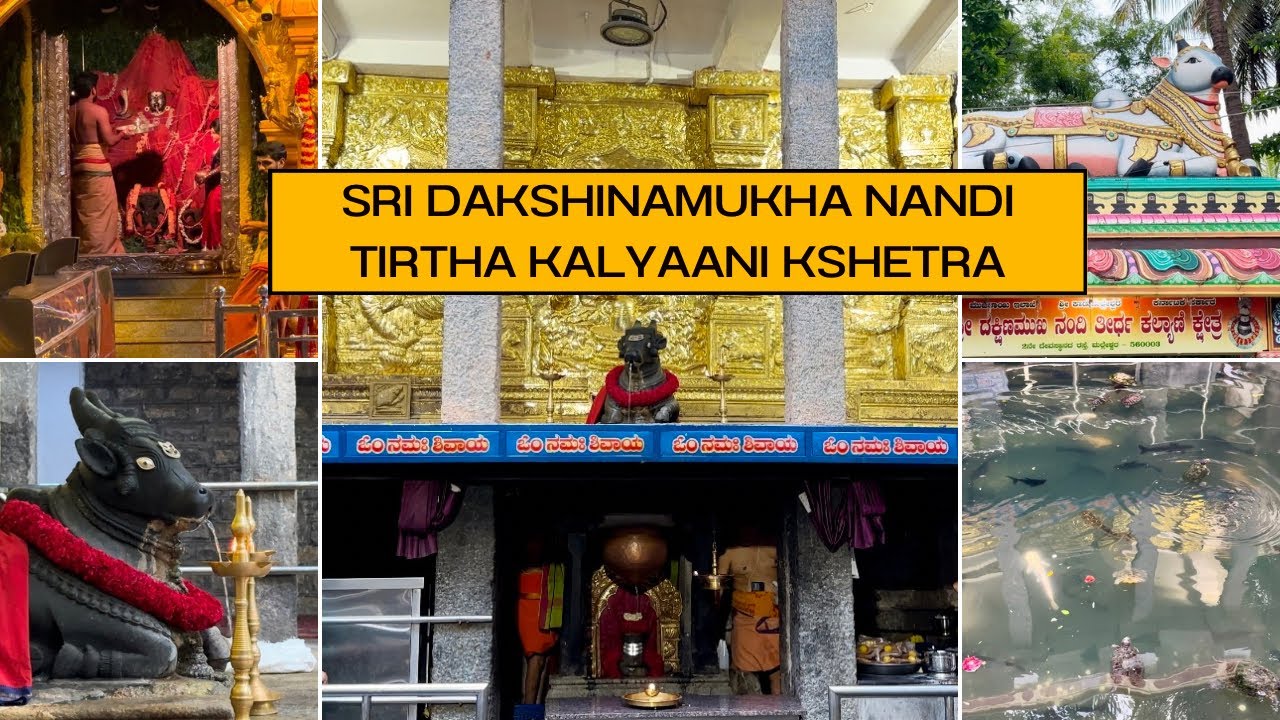 Sri Dakshinamukha Nandi Tirtha Kalyaani Kshetra || Malleshwaram Bangalore