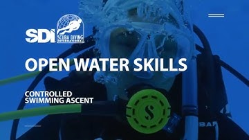 How To Do a Controlled Swimming Ascent while Scuba Diving - SDI Open Water Skills