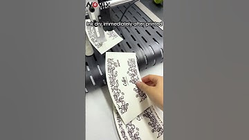 Full Color CMYK Direct Print with Auto Feeder Single Pass Digital Printing Machine for Paper Cup Fan